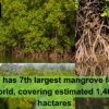 mangrove forests in Pakistan.