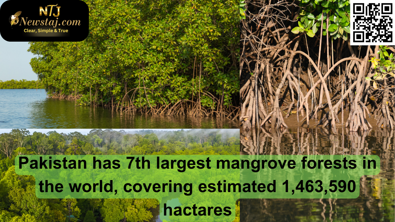 mangroves forests in Pakistan.